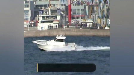 Bateau de pêche à cabine rapide en fibre de verre Bestyear 42 pieds