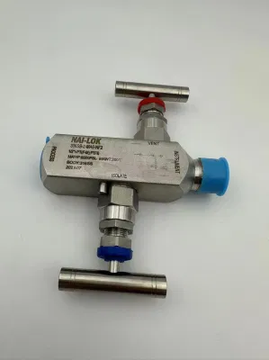 Valve de collecteurs d'instruments à 2 voies, haute pression 6000psi, OEM chinois, pour transmetteur Rosemount