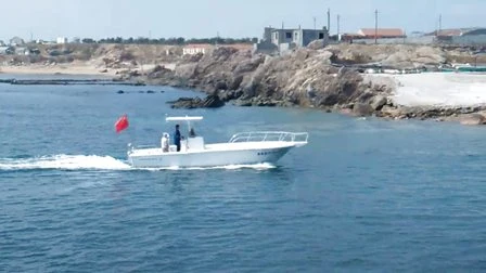 Grand bateau de pêche Bestyear de 10,5 m avec console centrale